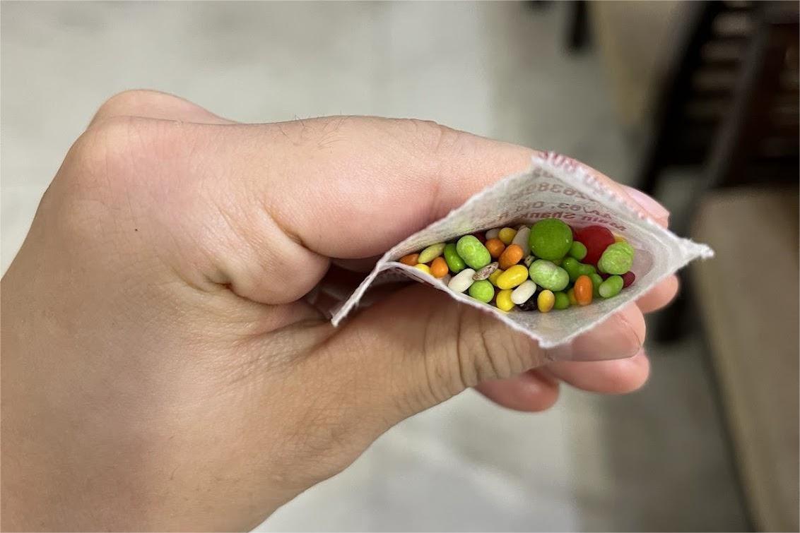 インド独立記念日