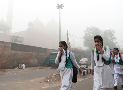 インド環境問題