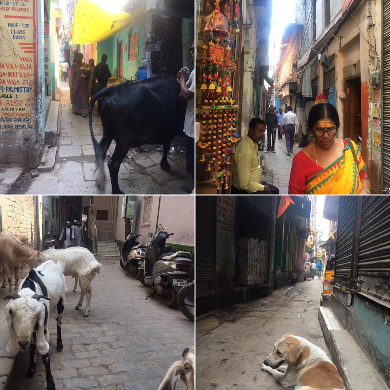 バラナシ日本人コーディネート