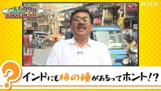 インド人リポーター